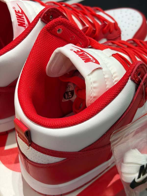 Nike sb نایک اس بی