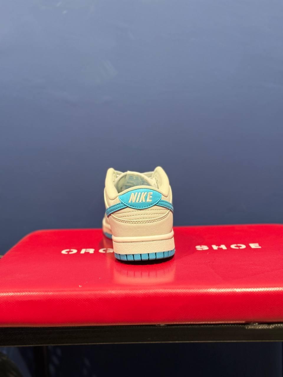 Nike sb نایک اس بی آبی