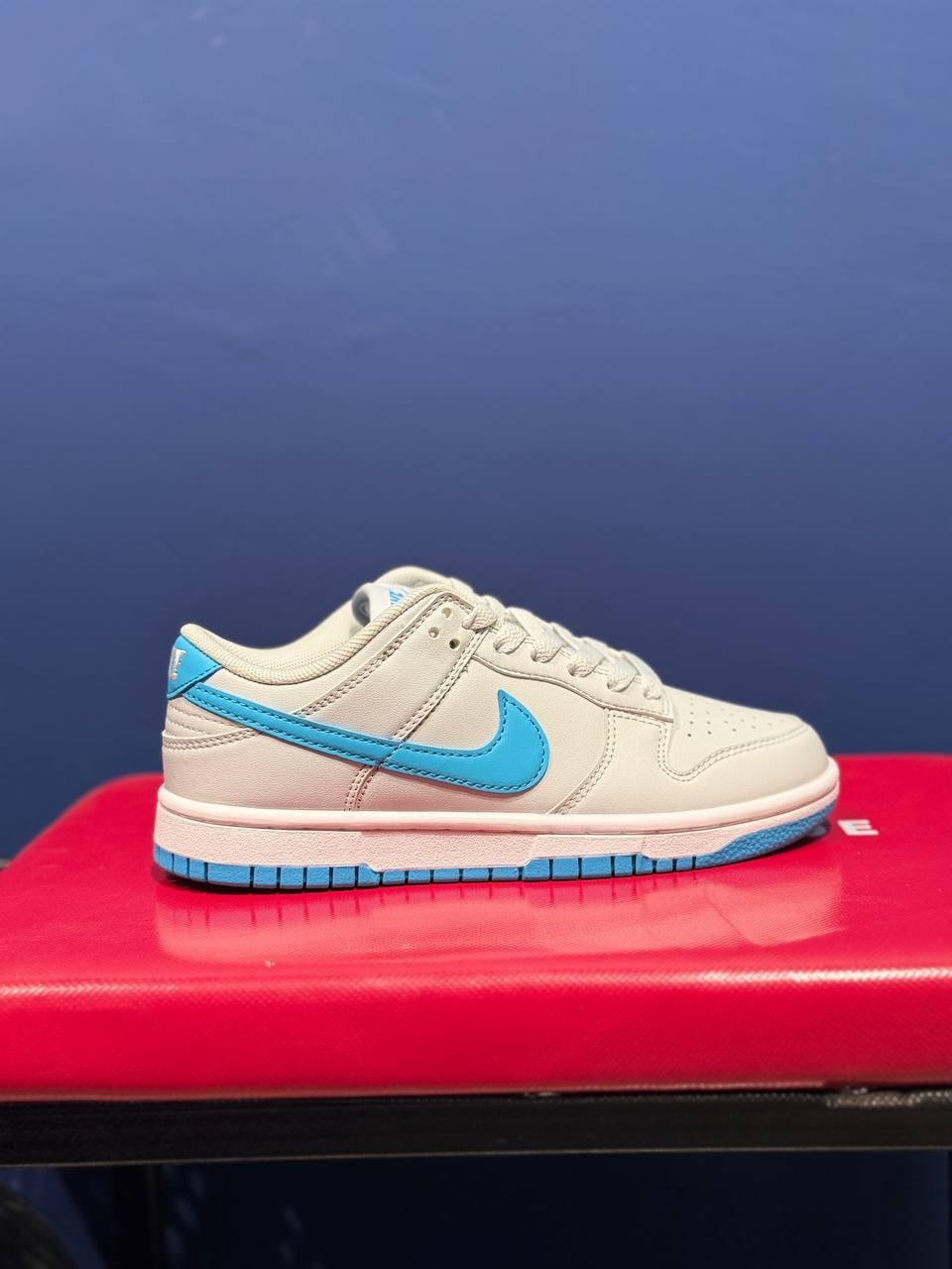 Nike sb نایک اس بی آبی